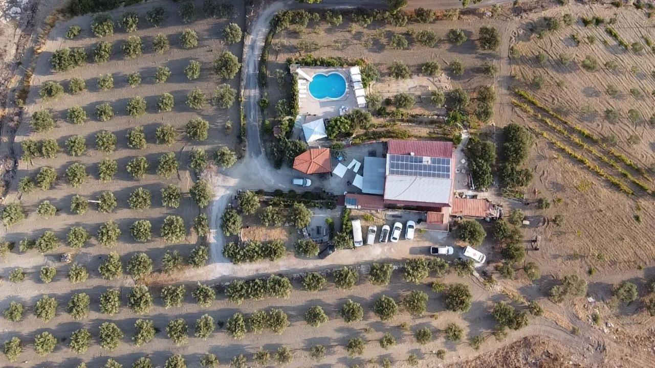 Terra Nostra Bed & Breakfast Cattolica Eraclea Exterior photo